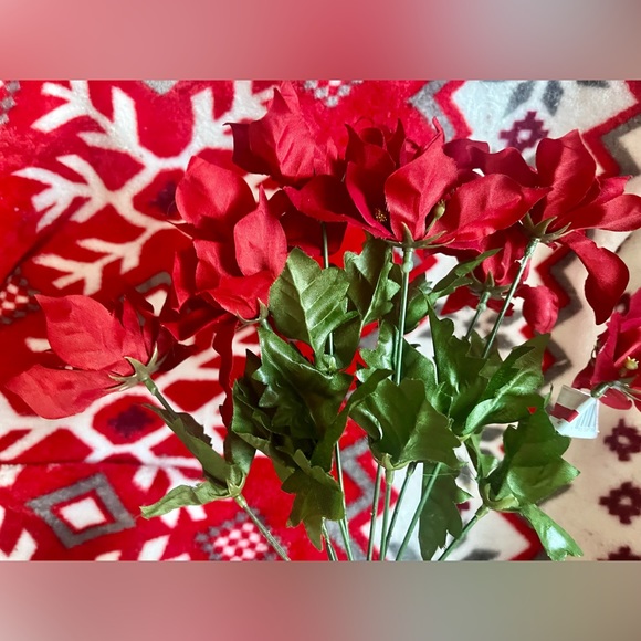 1 poinsettias red plant Christmas - Picture 5 of 13